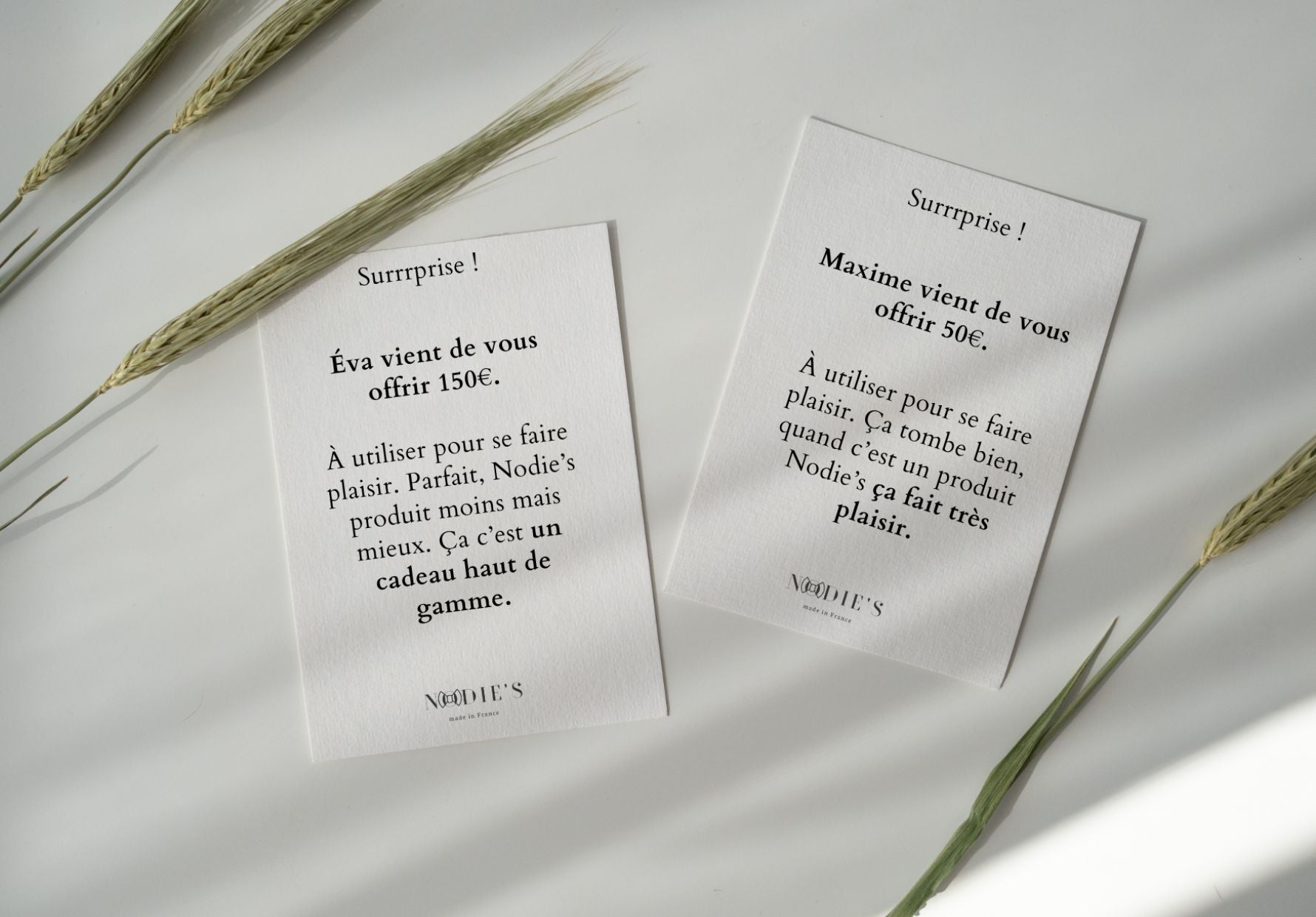 Carte cadeau dématérialisée (e-carte cadeau )